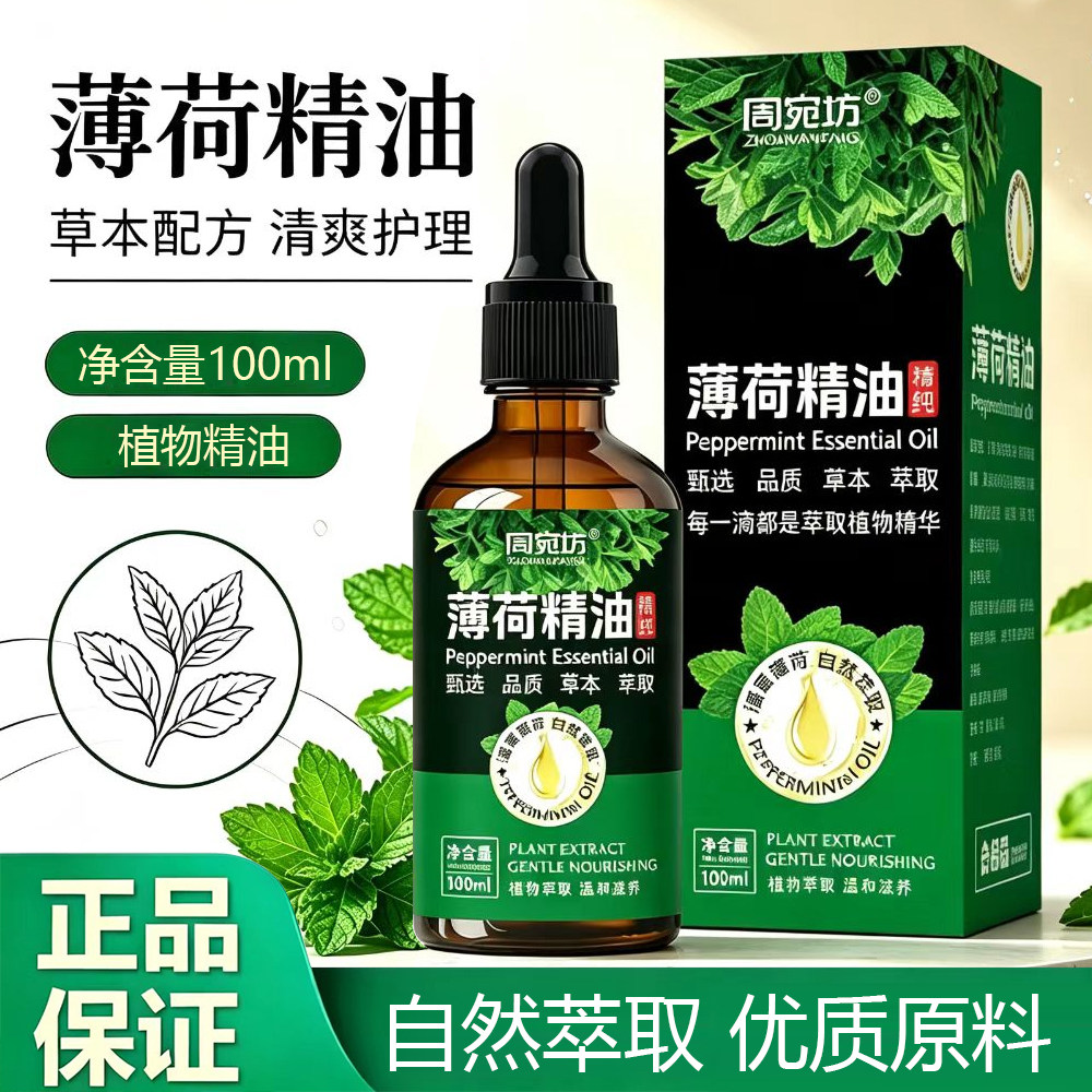天然植物提取薄荷精油