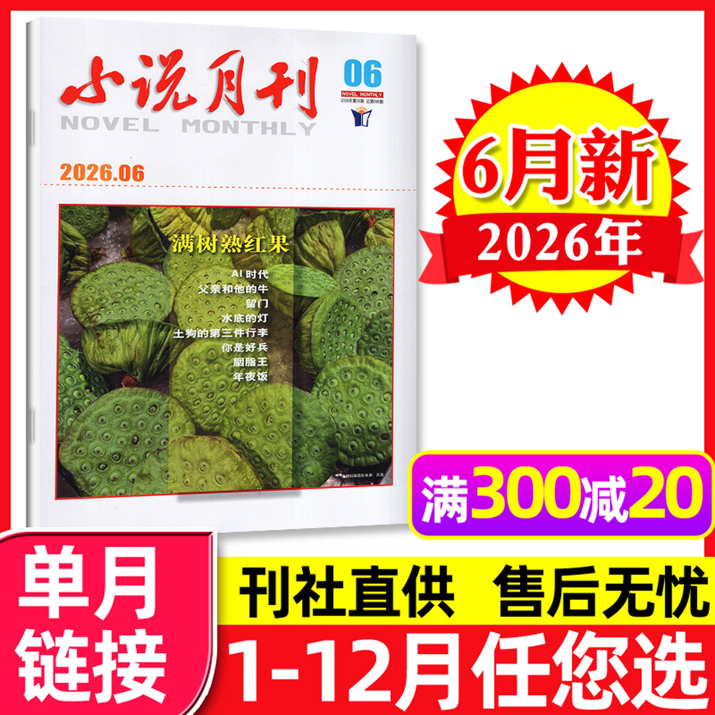小说月刊杂志2026年6月【另有1-7月/全年订阅可选】 短篇微型小说选刊小小说文学文摘故事会读者2024过刊【单本】
