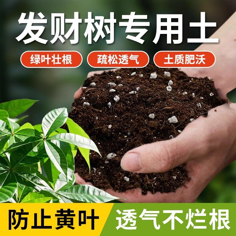 发财树专用土营养土有机盆栽绿植肥料专用肥土家用养分均衡土壤