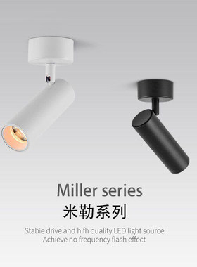 LED明装COB可调聚光射灯