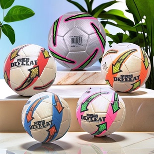帝弗特足球5号球正品学生成人用球中考专业训练PU贴皮耐磨比赛