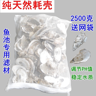 牡蛎壳锦鲤鱼池净水过滤材料