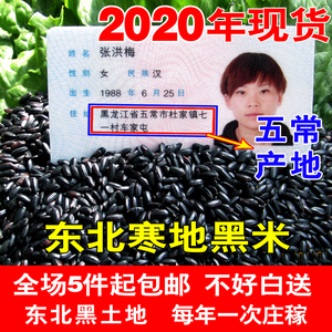2020年东北新粮东北黑米 黑香米五常黑香米农家自产现磨发货500克
