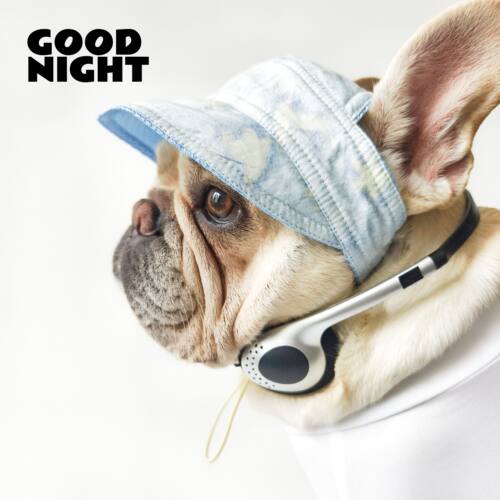 GOODNIGHT巴哥柯基英斗法斗帽子夏季薄款透气宠物狗狗遮阳帽子