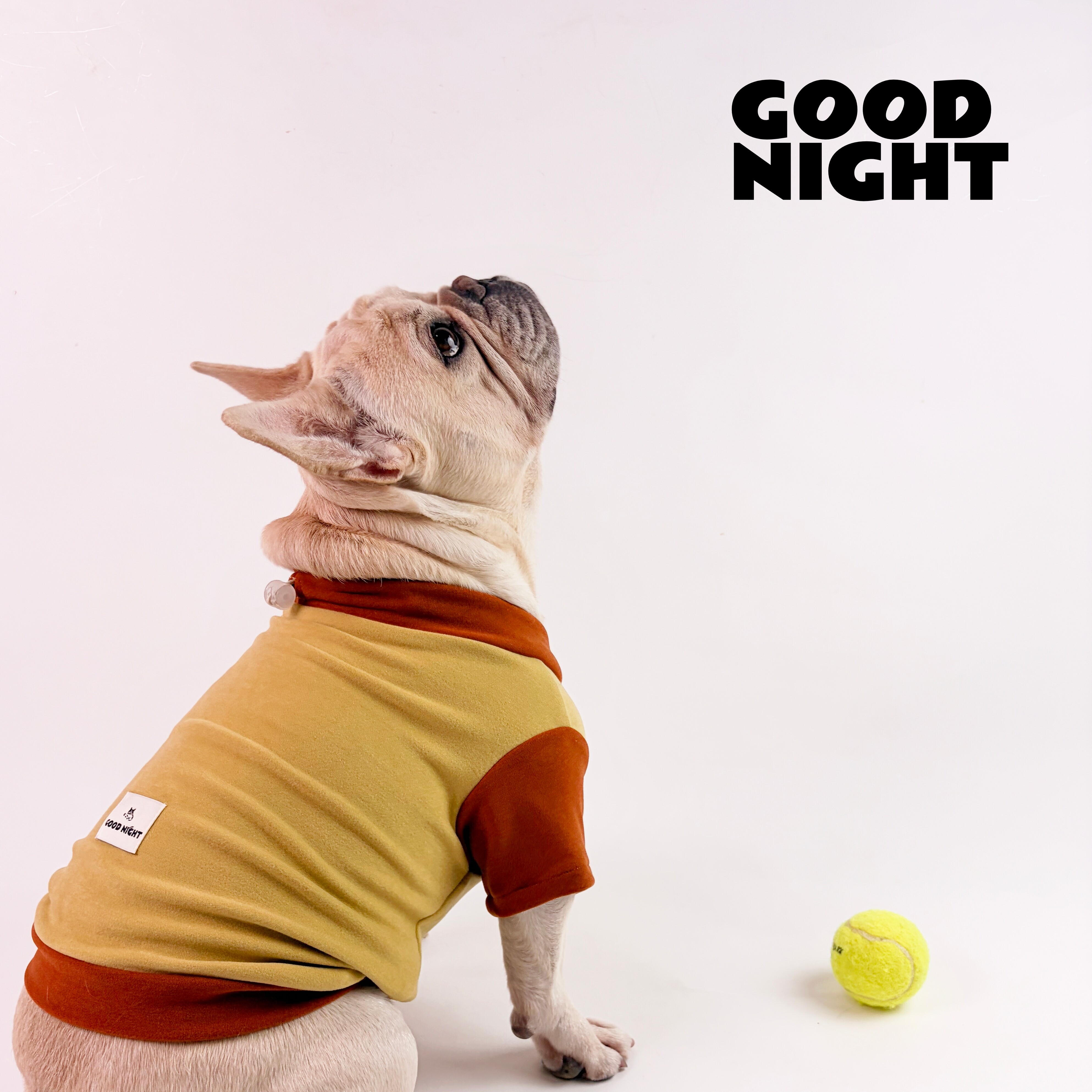 GOOD NIGHT晚安法斗巴哥恶霸英斗柯基保暖T恤狗狗衣服法斗衣服