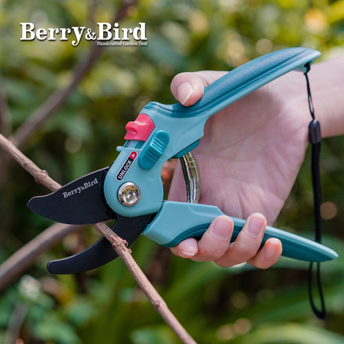 BerryBird园艺森林可调节花枝剪粗细树枝果树茎秆修剪多功能剪刀