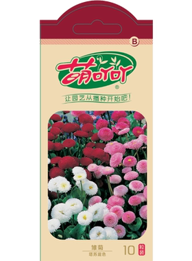 虹越萌吖吖多肉种子花卉种子