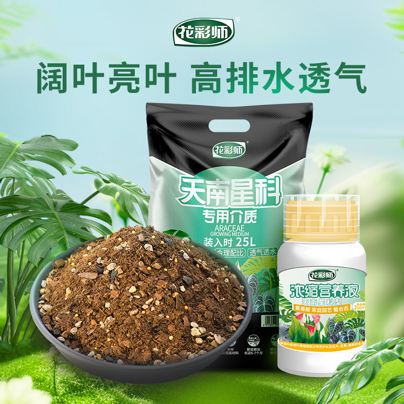 花彩师龟背竹专用土肥阔叶亮叶