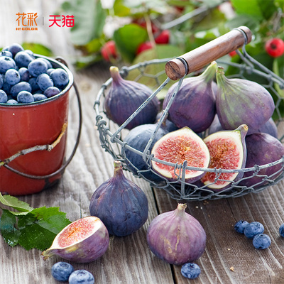 花彩无花果树果苗盆栽座果率强