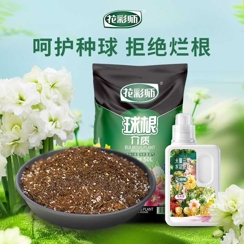 虹越花彩师球根营养土呵护种球
