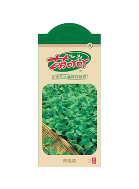 萌吖吖春秋草花种子好养易活