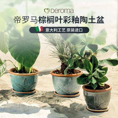 Deroma帝罗马棕榈叶彩釉陶土花盆家用陶瓷种植盆桌面室内阳台盆景
