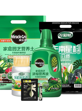 天南星营养土植物虹越