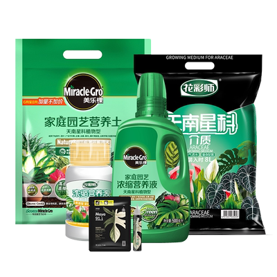 天南星营养土植物虹越