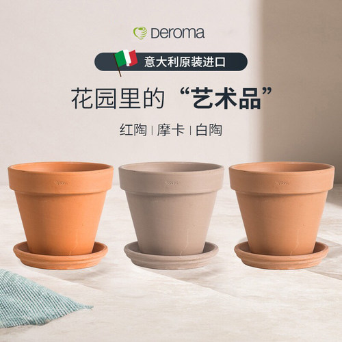 帝罗马简约百搭陶土花盆