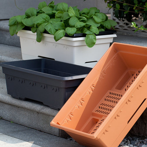PP材质简约家庭园艺种植盆