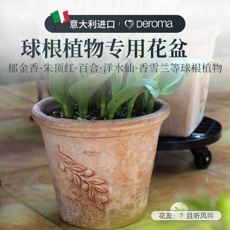虹越郁金香专用花盆朱顶红花盆洋水仙陶盆红陶透气长方形种植盆栽
