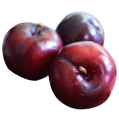 虹越李子果树果苗盆栽南北方种植阳台庭院桐乡李桃形李樱桃李