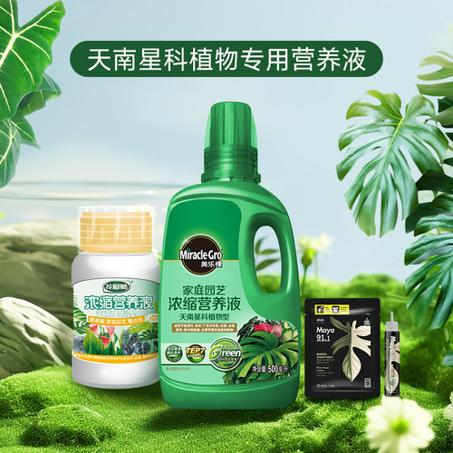 虹越天南星植物专用营养液龟背竹