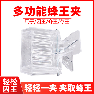 蜂王夹多功能塑料蜜蜂困王笼关王器换王介王养蜂工具中蜂抓王意蜂