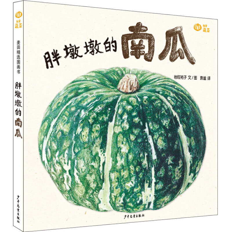 我爱蔬菜系列 胖墩墩的南瓜蔬菜科普绘本培养宝宝健康饮食习惯绘本3-6岁儿童绘本亲子共读科普读物百科幼儿园小中大班课外阅读高性价比高么？