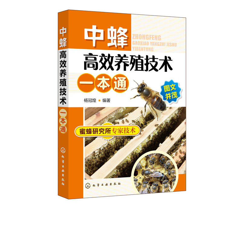 中蜂高效养殖技术一本通  中蜂高效养殖技术大全实用养蜂技术养中华蜂大全书籍 养蜂书中华蜂土蜂中蜂饲养新技术  蜜蜂养殖