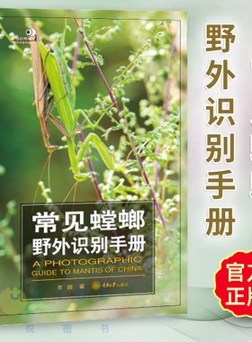 常见螳螂野外识别手册 好奇心书系 吴波 书中讲述对我国有分布的相对常见且有代表性的77种螳螂的形态特征生活习性重庆大学出版社
