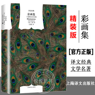 【译文经典】彩画集 兰波散文诗全集 王道乾 翻译 兰波 收集 地狱一季 坏血统 彩画集 散文诗歌 译文经典精装本 正版书籍