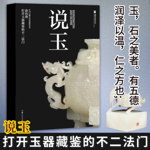 说玉 和田玉绿松石翡翠水晶玛瑙玉器种类特点介绍 玉器古玩收藏鉴赏指南珠宝玉石入门百科知识大全鉴定书籍上海人民美术 俞伟理