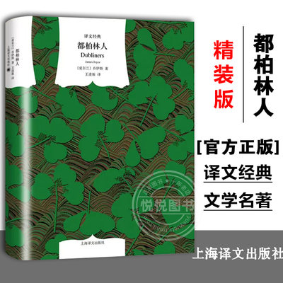 【译文经典】都柏林人 乔伊斯著/王逢振译 爱尔兰文学 上海译文出版社 初高中学生课外阅读 名家名译世界名著文学外国小说正版书籍