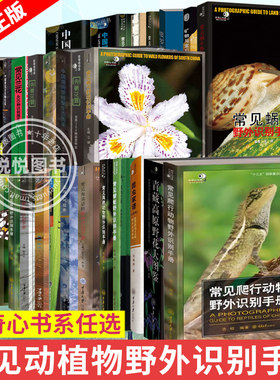 常见海贝野外识别手册科普生物