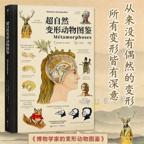 正版书籍 超自然变形动物图鉴 超大开本全彩手绘 超现实物种 续写博物学家的神秘动物图鉴 奇幻博物科普图书 oc设定漫画灵感画册集