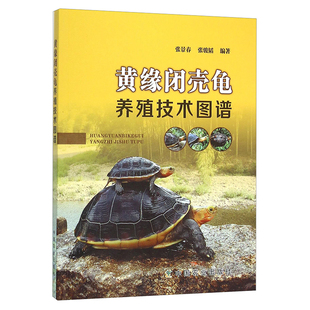 张骏韬 乌龟饲养技法入门教程图书 张景春 黄缘闭壳龟养殖技术图谱 甲鱼龟鳖龟类动物养殖技术专业基础知识书疾病诊断预防养龟书籍