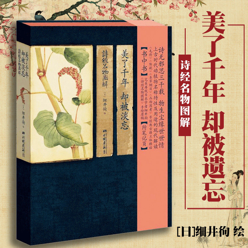 美了千年却被淡忘诗经全集名物图解古典小说古诗词鉴赏赏析中国古诗词植物人物风景素描水彩绘画书籍图解诗经书籍_虎窝淘