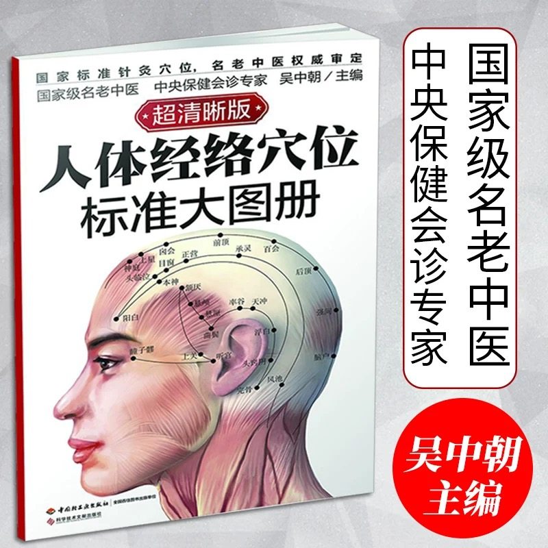 人体经络穴位标准大图册 超清晰 人体经络穴位图解书 人体穴位图解大全 中医按摩经络穴位书籍 经络穴位按摩大全中医养生书籍正版