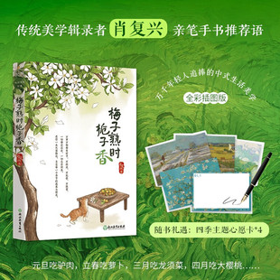 梅子熟时栀子香 肖复兴 散文精选集 经典美文舒缓治愈温暖文字 那片绿绿的爬山虎 中国现当代文学散文书籍 官方正版