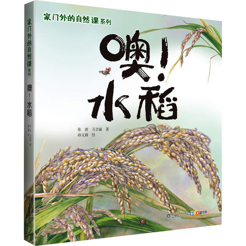 噢!水稻绘本 家门外的自然课系列 小学生课外读物课外阅读自然科学书 启蒙启发自然科学系列绘本 0~3岁宝宝早教书百科全书
