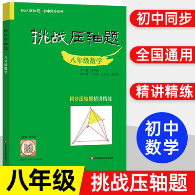 挑战压轴题八年级初二上下册同步压轴题练习册强化训练基础知识大全举一反三初中压轴题辅导同步复习资料书初中数学竞赛必刷题