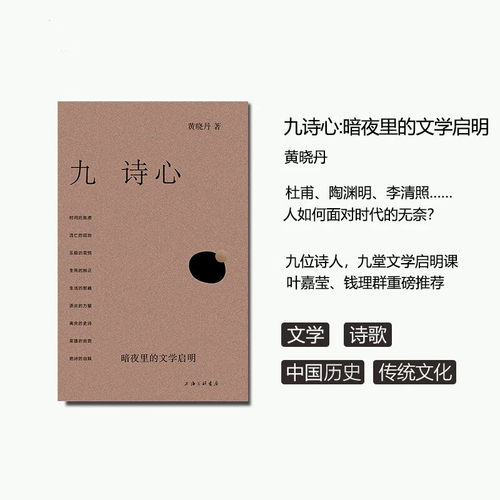 官方正版 九诗心:暗夜里的文学启明 黄晓丹著 细腻文笔，女性视角，看见诗人的“另一面” 叶嘉莹、钱理群重磅推荐 理想国