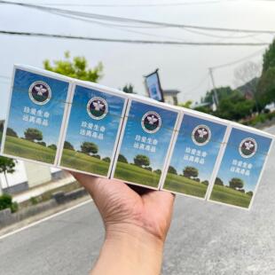 禁毒模型 商超品质禁毒扑克牌 禁毒知识扑克 宣传禁毒知识扑克