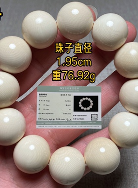 原色货猛犸牙大手串带证书