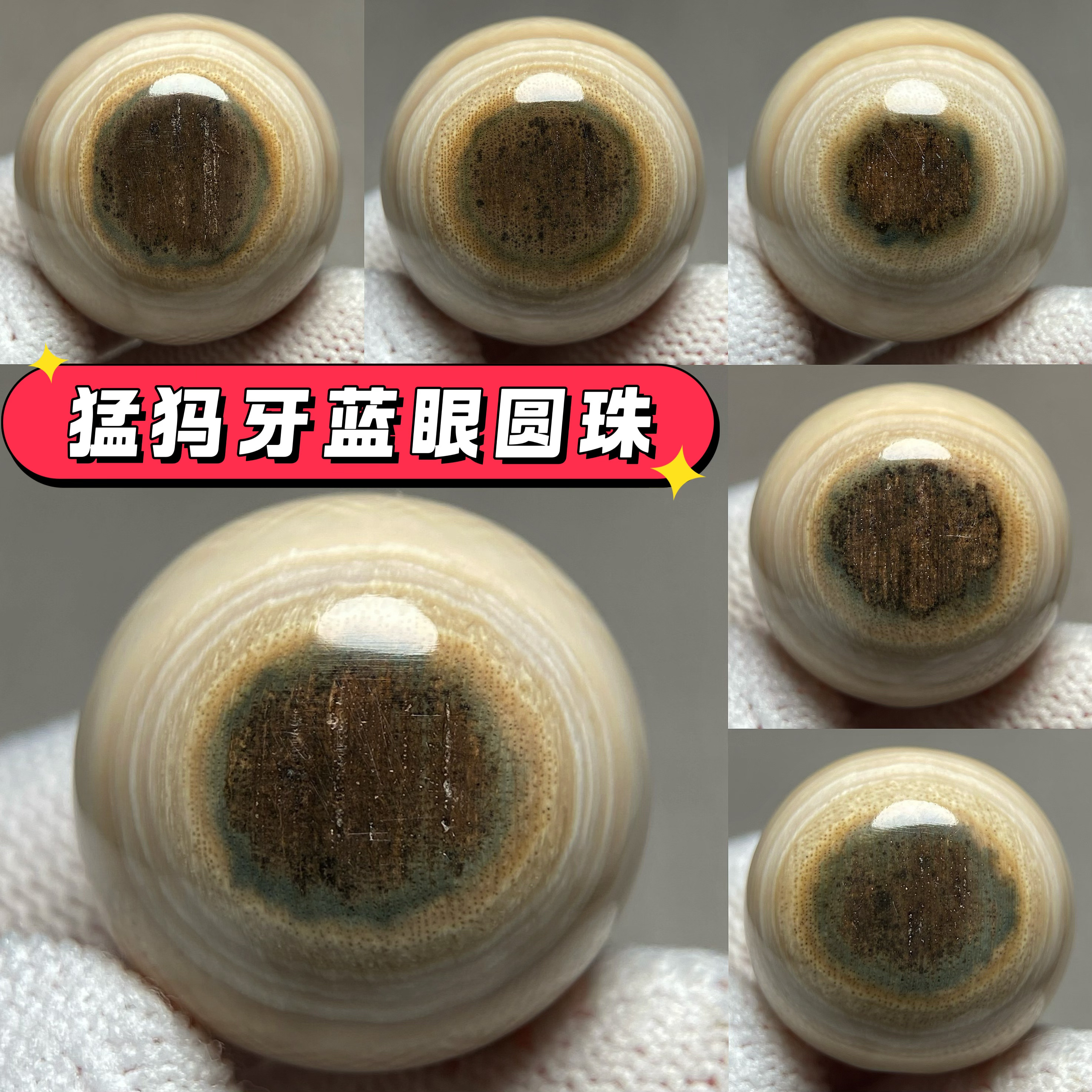 天然猛犸象牙散珠带原皮猛犸牙圆珠蓝眼猛犸牙单珠配珠，一物一图
