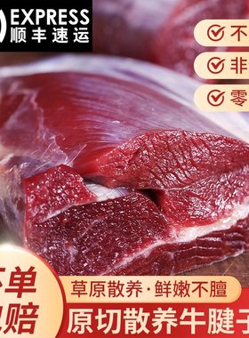 内蒙古原切牛腱子5斤直发