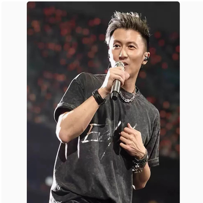 谢霆锋进化演唱会同款短袖