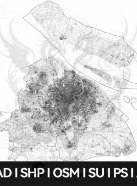 上海城市完整 SHP CAD SU矢量地图模型 AI PS 分析图建筑水系路网