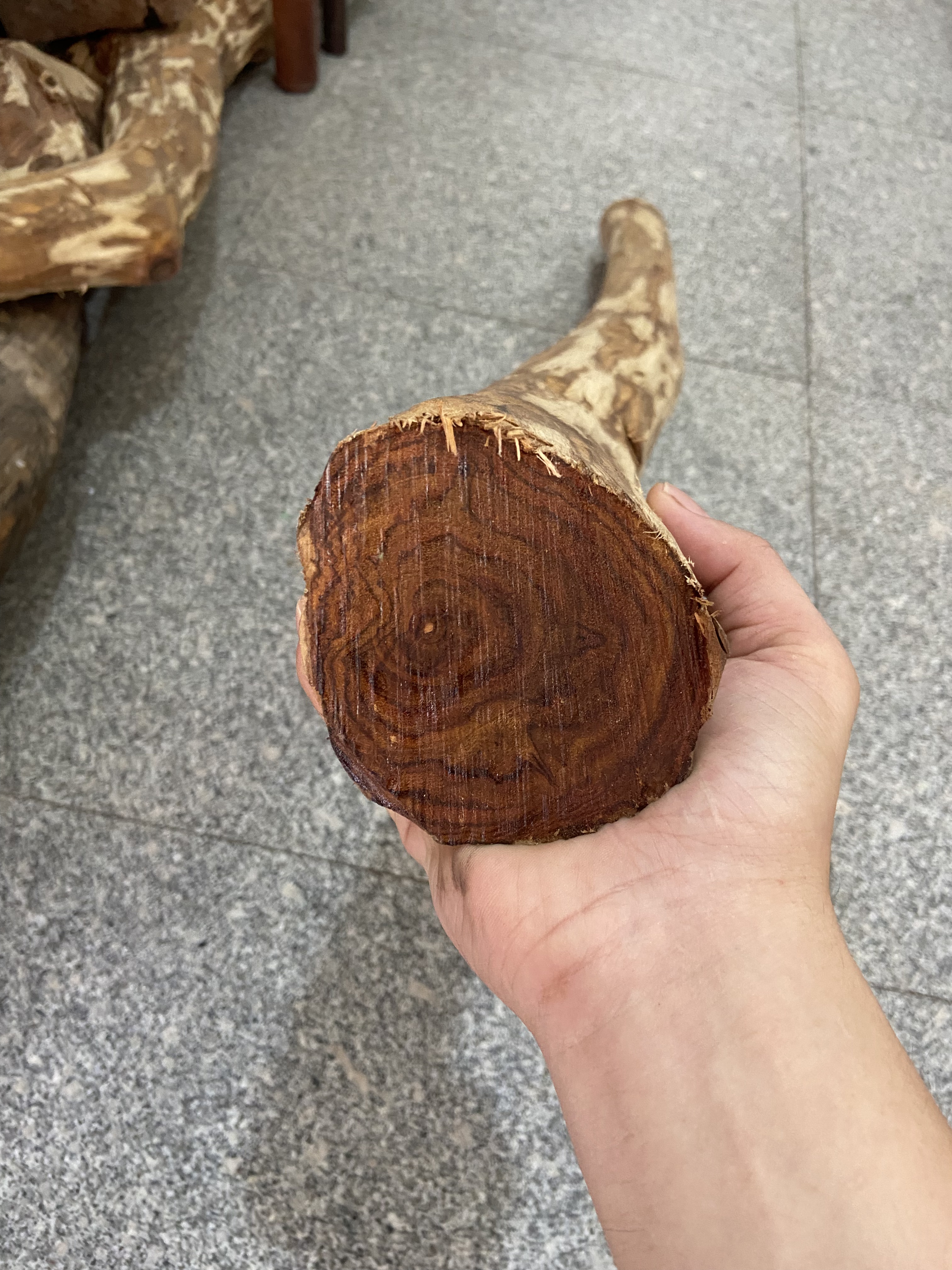 特价,越南黄花梨老料油梨料鬼脸鬼眼原木料可以做手球