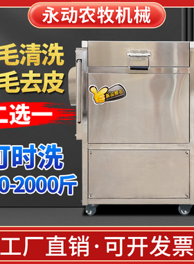 全自动毛辊清洗机红薯土豆去皮机生蚝扇贝毛刷清洗机萝卜脱皮机