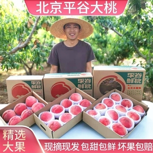 正宗北京平谷大桃水蜜桃应季当季新鲜甜桃子久保整箱水果礼盒顺丰