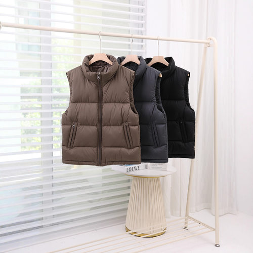 男士加厚立领羽绒马甲90白鸭绒轻型柔软无袖羽绒服背心冬季外套潮