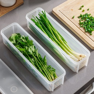 日本进口小葱香菜专用收纳盒冰箱保鲜盒面条盒食品级密封盒葱花盒